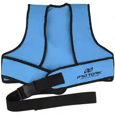 Colete Cinto Infantil Pro Tork Para Transporte COR/AZUL TAMANHO/Único