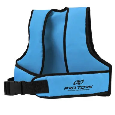 Colete Cinto Infantil Pro Tork Para Transporte COR/AZUL TAMANHO/Único